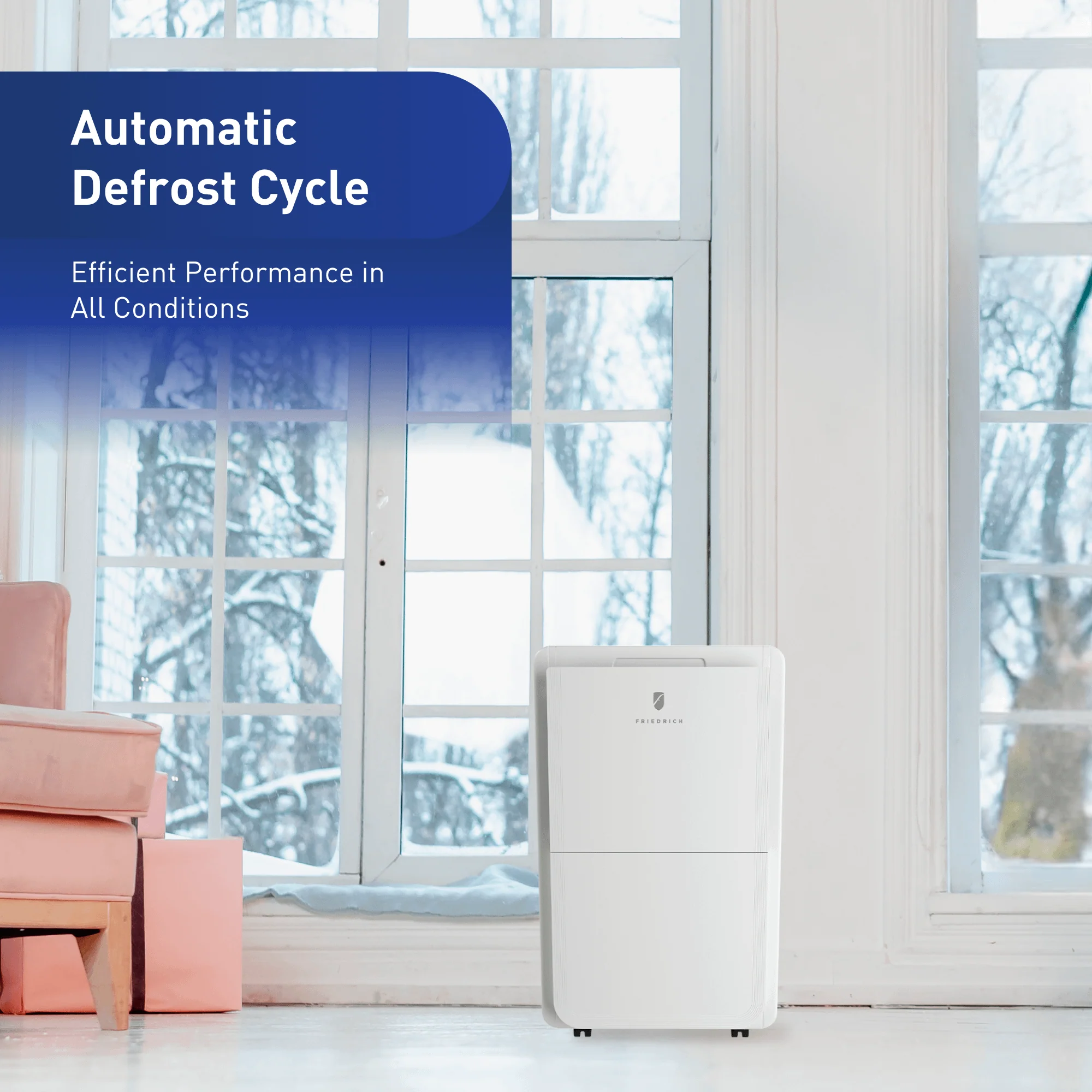 FRIEDRICH D50B1B Friedrich 50 Pint Dehumidifier with Built-In Drain Pump - Image 3